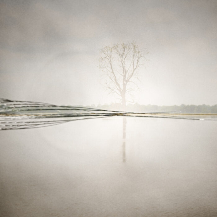Meuse river, Joy DeKok