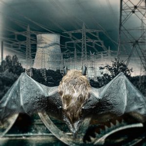 bat
