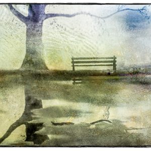 dactylogram, bench