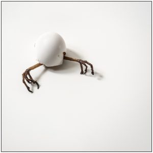 egg