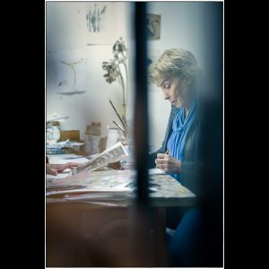 EMd Mary de Vries