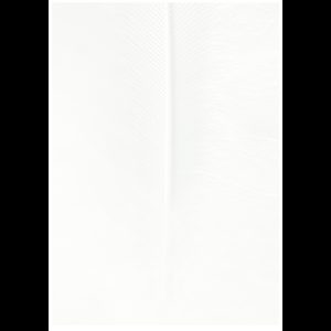 EMd on White