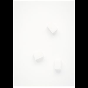 EMd on White