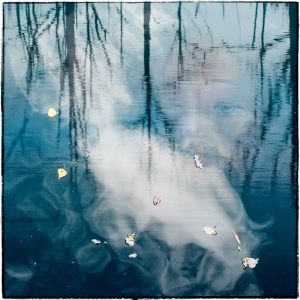walkonwater