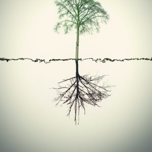 1,2,treee